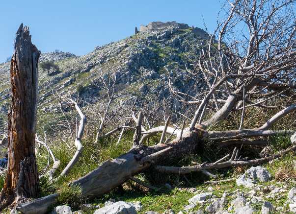 Mount Trocchio The German Barrier