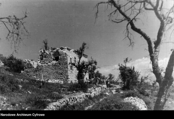 monte cassino battlefield tours